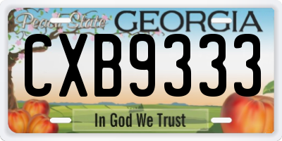 GA license plate CXB9333
