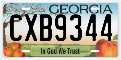 GA license plate CXB9344