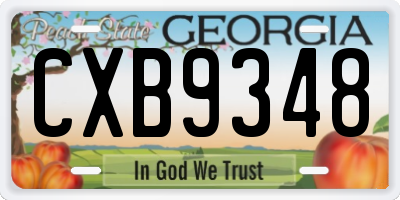 GA license plate CXB9348