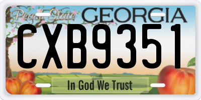 GA license plate CXB9351