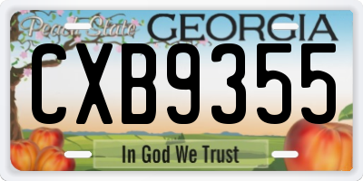 GA license plate CXB9355