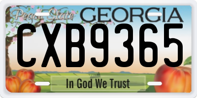 GA license plate CXB9365