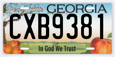 GA license plate CXB9381