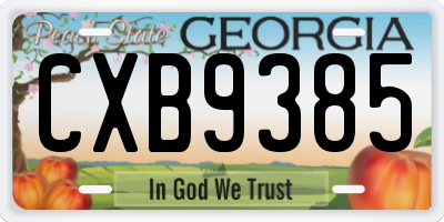 GA license plate CXB9385