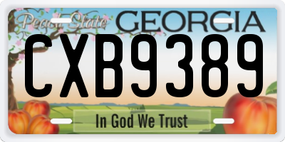 GA license plate CXB9389