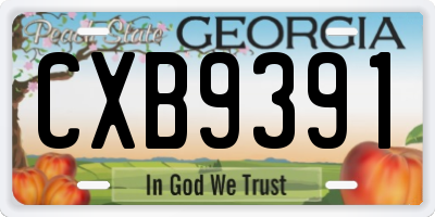 GA license plate CXB9391