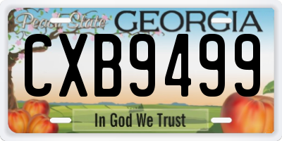GA license plate CXB9499