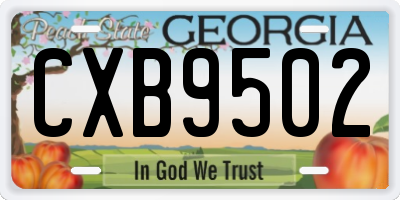 GA license plate CXB9502