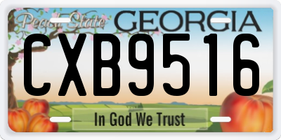 GA license plate CXB9516