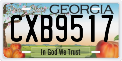 GA license plate CXB9517