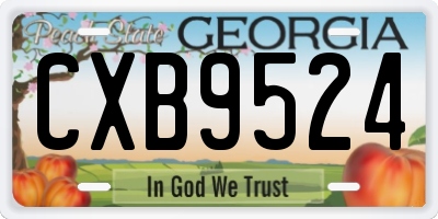 GA license plate CXB9524