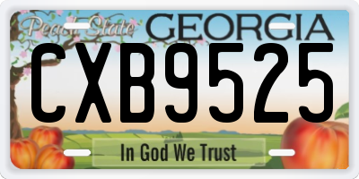 GA license plate CXB9525