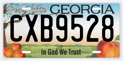 GA license plate CXB9528