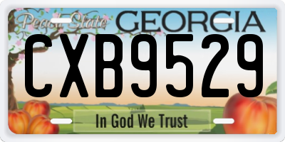 GA license plate CXB9529