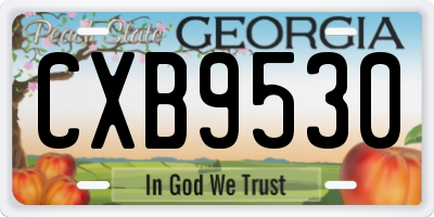 GA license plate CXB9530