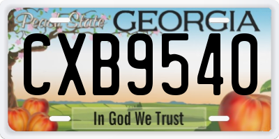 GA license plate CXB9540