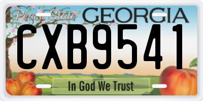 GA license plate CXB9541