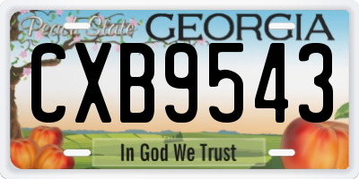 GA license plate CXB9543