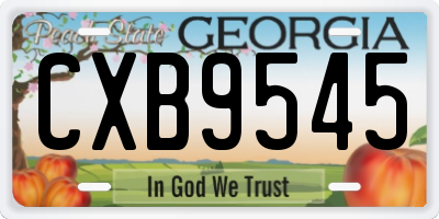 GA license plate CXB9545
