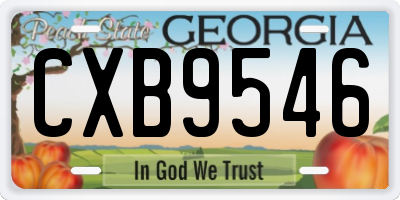 GA license plate CXB9546