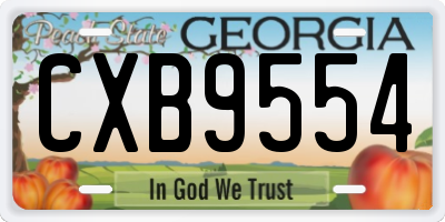 GA license plate CXB9554