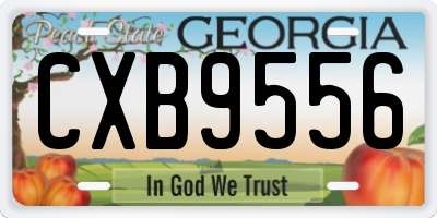 GA license plate CXB9556