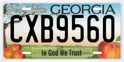 GA license plate CXB9560