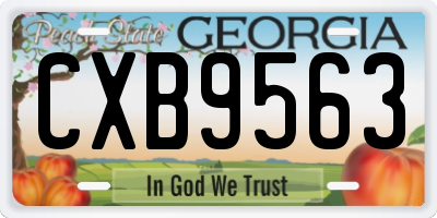 GA license plate CXB9563
