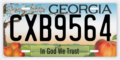 GA license plate CXB9564