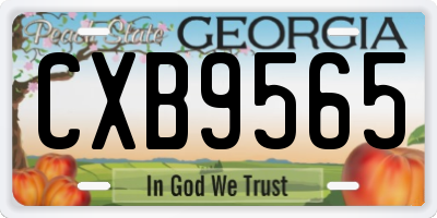 GA license plate CXB9565