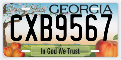 GA license plate CXB9567