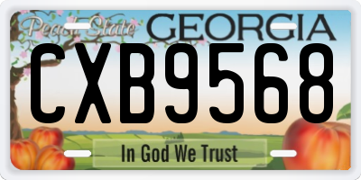 GA license plate CXB9568