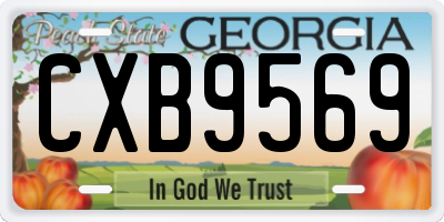 GA license plate CXB9569