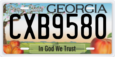 GA license plate CXB9580