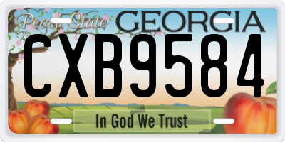 GA license plate CXB9584