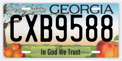 GA license plate CXB9588