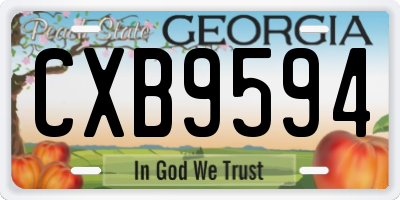 GA license plate CXB9594