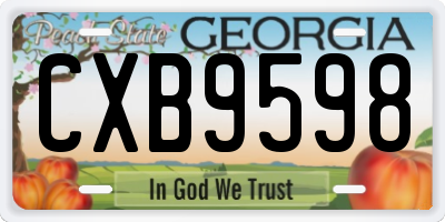 GA license plate CXB9598