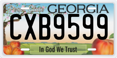 GA license plate CXB9599