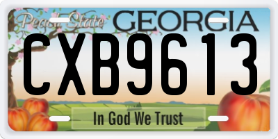 GA license plate CXB9613