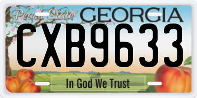 GA license plate CXB9633