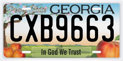 GA license plate CXB9663