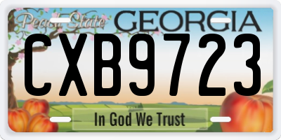GA license plate CXB9723