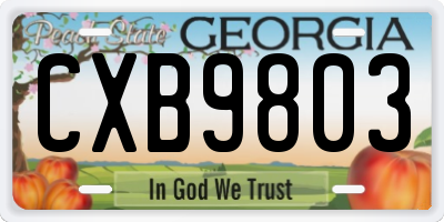 GA license plate CXB9803