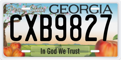 GA license plate CXB9827