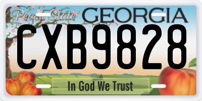 GA license plate CXB9828