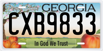 GA license plate CXB9833