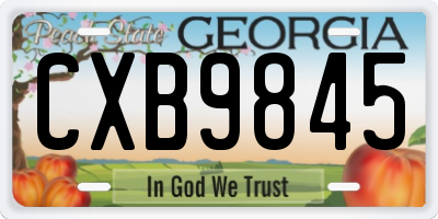 GA license plate CXB9845