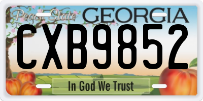 GA license plate CXB9852