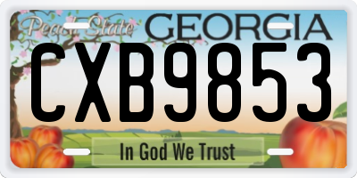 GA license plate CXB9853